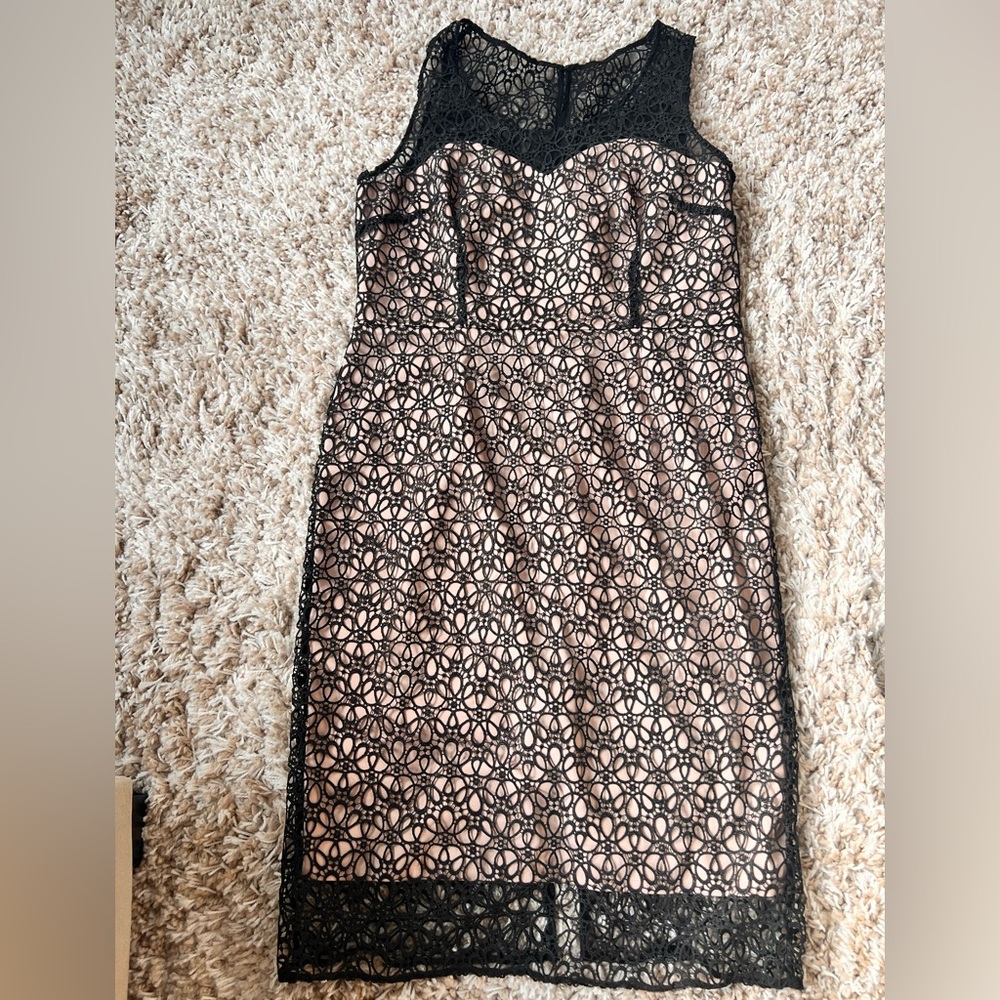Ann Taylor Lace Dress